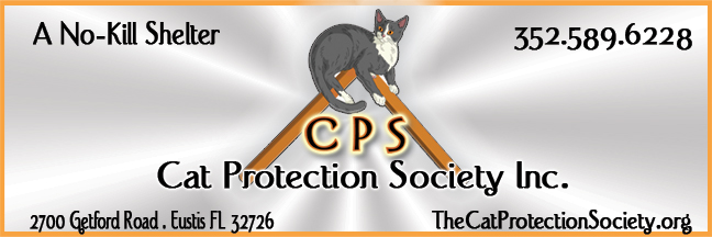 The cats hot sale protection